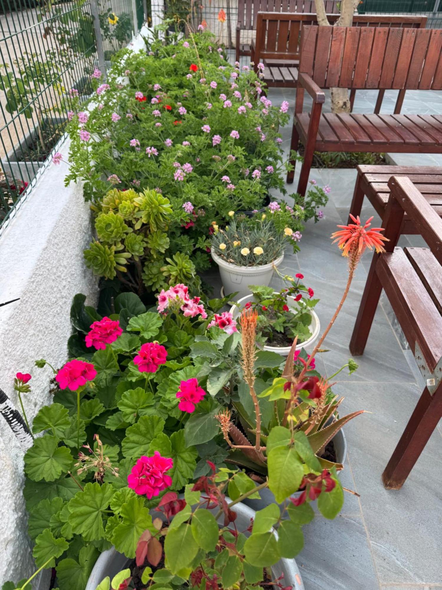 Central Garden Residence Sofia - Free Parking Ksamil Ngoại thất bức ảnh